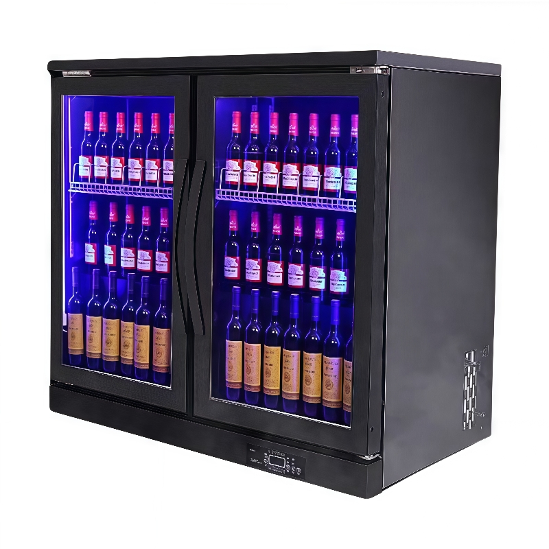 Kompakter, luftgekühlter Mini- – Wine Beer Dual Zone Bewertung und Preis