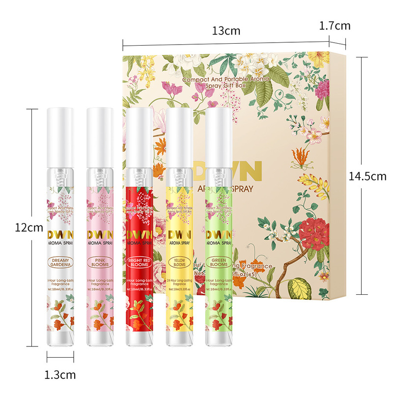 Haushalts-Innenraum-Nebelspray – Cocktail Shaker Set Bewertung und Preis