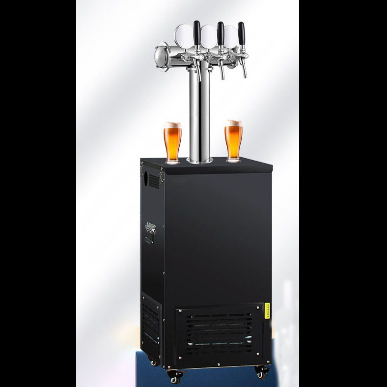 Wine Lovers Beer Kegrator Prem – Wine Draft Beer Bewertung und Preis